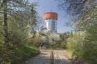 Local cover image